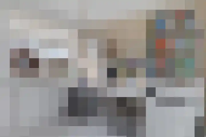Carry van Bruggenstraat 10 Zwolle thumbnail 21