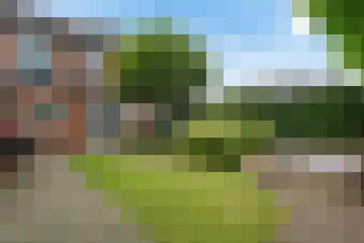 Carry van Bruggenstraat 10 Zwolle thumbnail 30