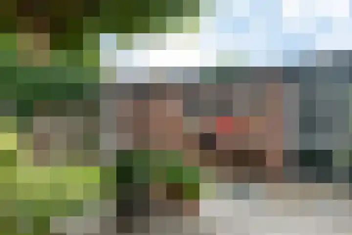 Carry van Bruggenstraat 10 Zwolle thumbnail 33