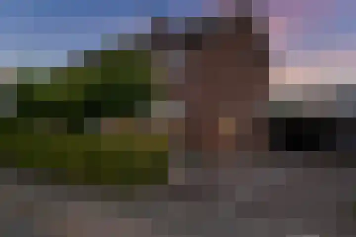 Carry van Bruggenstraat 10 Zwolle thumbnail 35