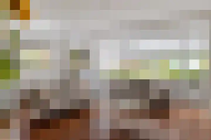 Carry van Bruggenstraat 10 Zwolle thumbnail 4