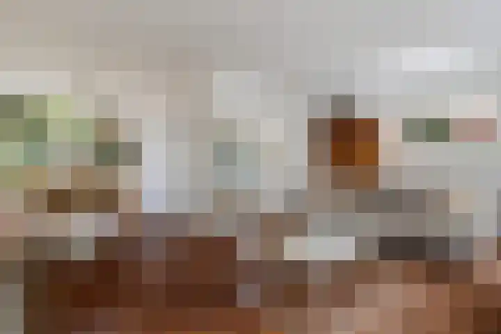 Carry van Bruggenstraat 10 Zwolle thumbnail 6
