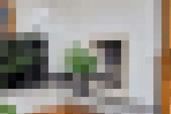 Carry van Bruggenstraat 12 Zwolle thumbnail 10