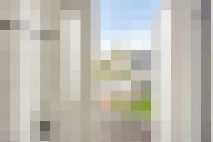 Carry van Bruggenstraat 12 Zwolle thumbnail 20