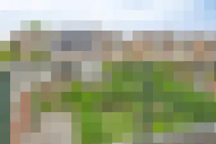 Carry van Bruggenstraat 12 Zwolle thumbnail 21