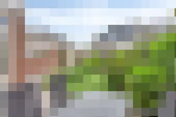 Carry van Bruggenstraat 12 Zwolle thumbnail 26