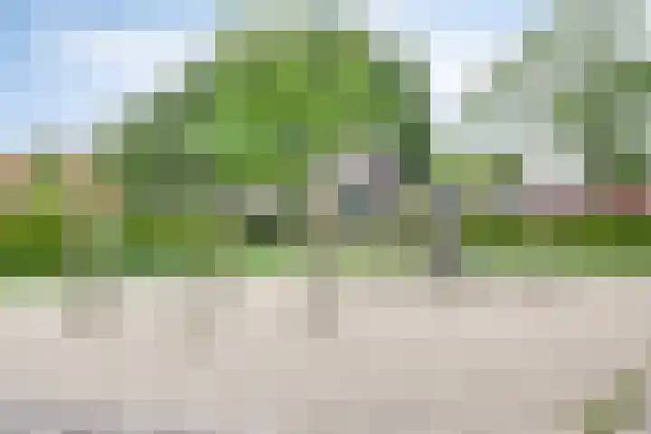 Carry van Bruggenstraat 12 Zwolle thumbnail 30