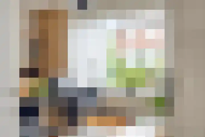 Carry van Bruggenstraat 12 Zwolle thumbnail 5