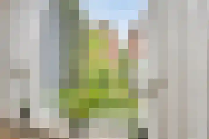 Carry van Bruggenstraat 12 Zwolle thumbnail 7