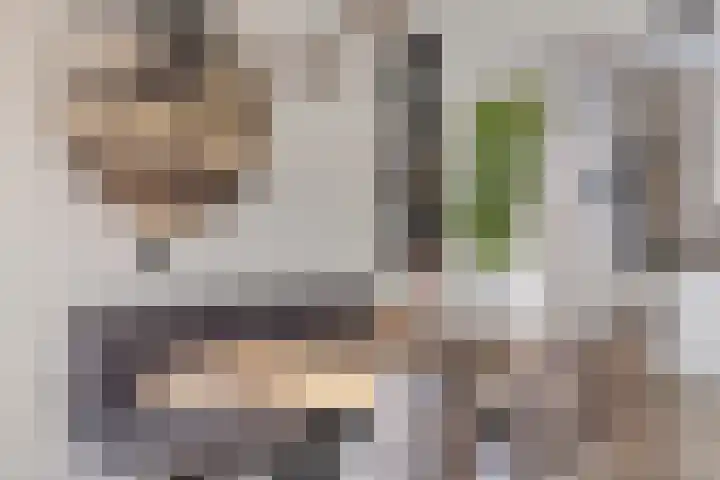 Carry van Bruggenstraat 13 Hoofddorp thumbnail 11