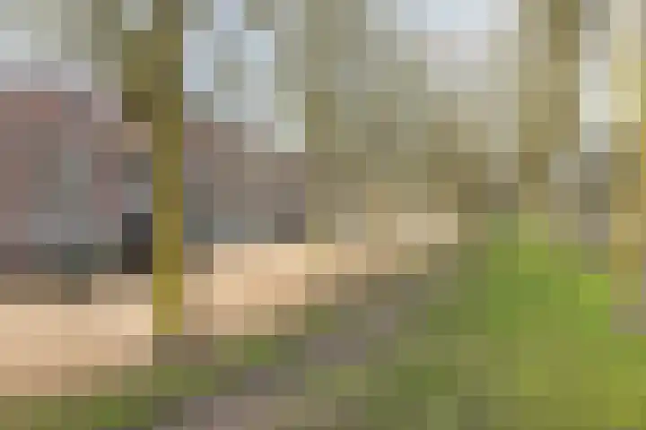 Carry van Bruggenstraat 13 Hoofddorp thumbnail 31