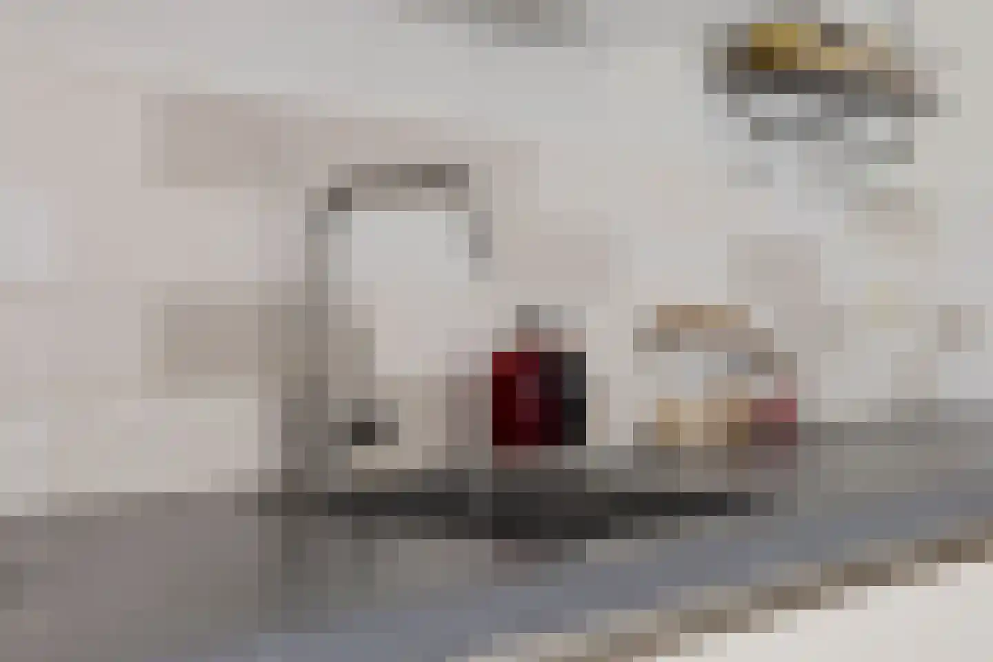 Carry van Bruggenstraat 14 Smilde thumbnail 21