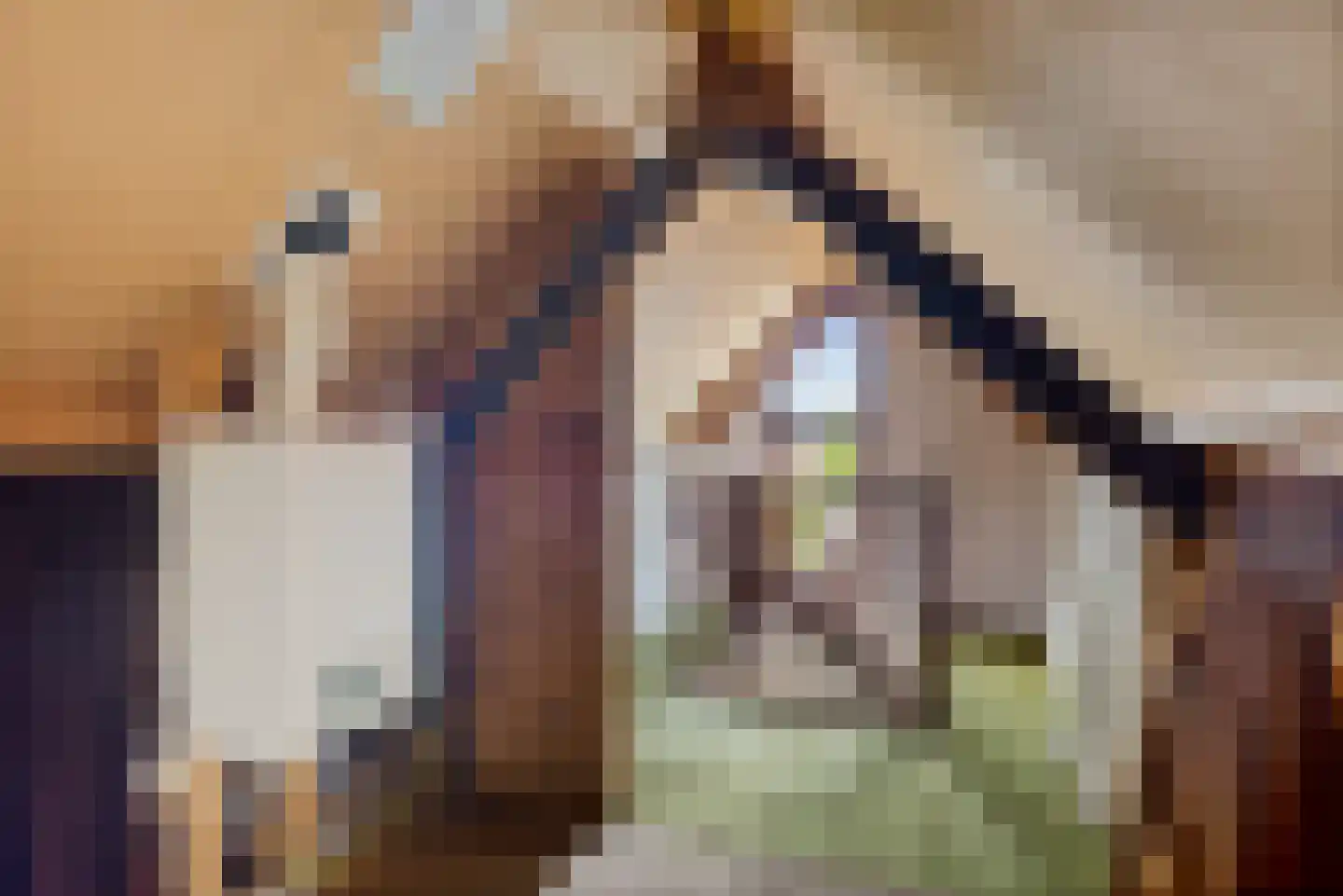 Carry van Bruggenstraat 14 Smilde thumbnail 35