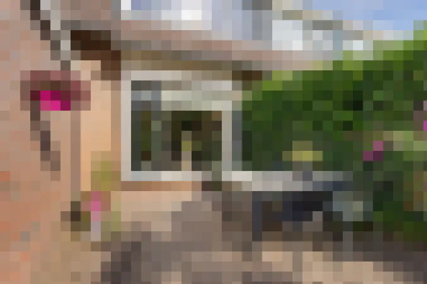 Carry van Bruggenstraat 14 Smilde thumbnail 37