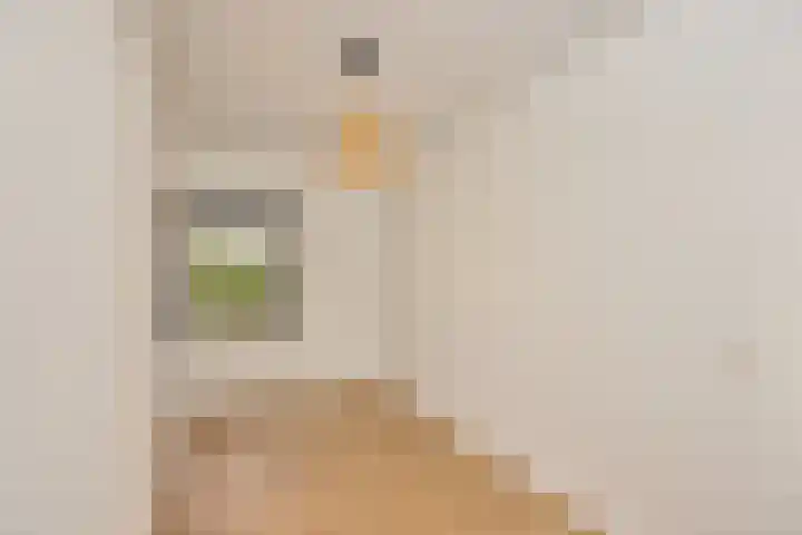 Carry van Bruggenstraat 15 Utrecht thumbnail 14