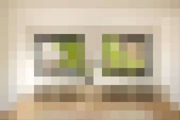Carry van Bruggenstraat 15 Utrecht thumbnail 6