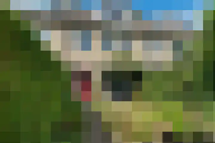 Carry van Bruggenstraat 18 Zwolle thumbnail 21