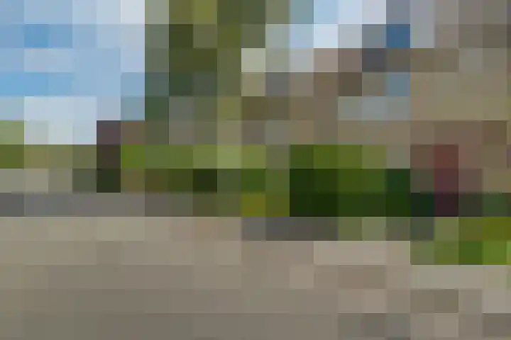 Carry van Bruggenstraat 18 Zwolle thumbnail 25