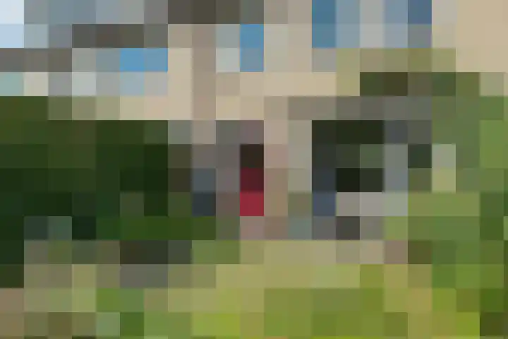 Carry van Bruggenstraat 18 Zwolle thumbnail 26