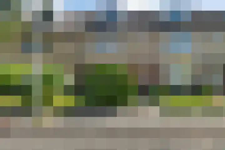 Carry van Bruggenstraat 18 Zwolle thumbnail 33