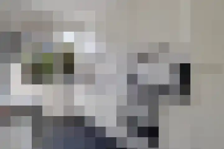 Carry van Bruggenstraat 18 Zwolle thumbnail 7