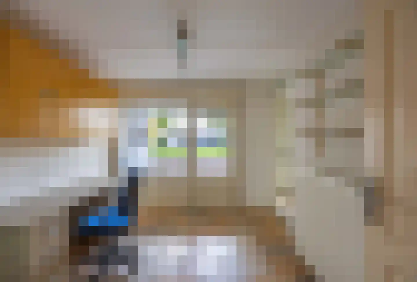 Carry van Bruggenstraat 3 Venray thumbnail 24