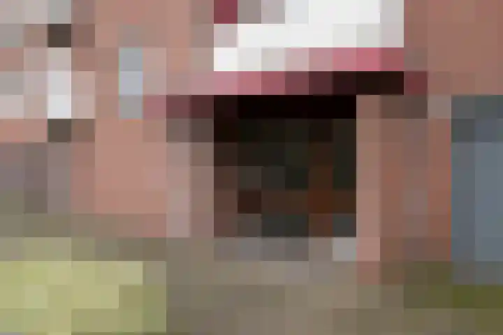 Carry van Bruggenstraat 36 Zwolle thumbnail 11