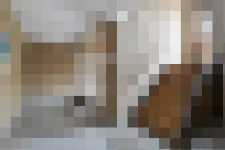 Carry van Bruggenstraat 36 Zwolle thumbnail 13