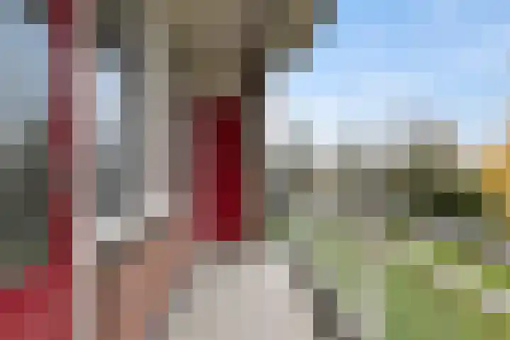 Carry van Bruggenstraat 36 Zwolle thumbnail 30