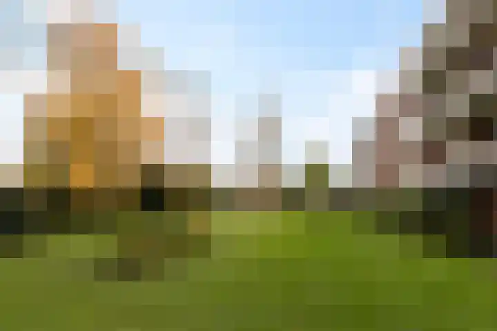 Carry van Bruggenstraat 36 Zwolle thumbnail 34