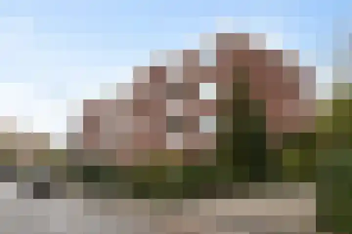 Carry van Bruggenstraat 36 Zwolle thumbnail 8