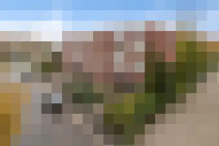 Carry van Bruggenstraat 36 Zwolle thumbnail 9