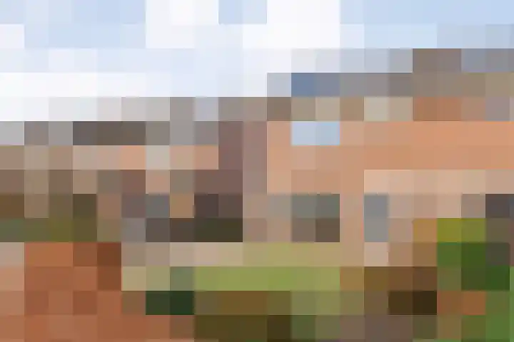 Carry van Bruggenstraat 39 Smilde thumbnail 39
