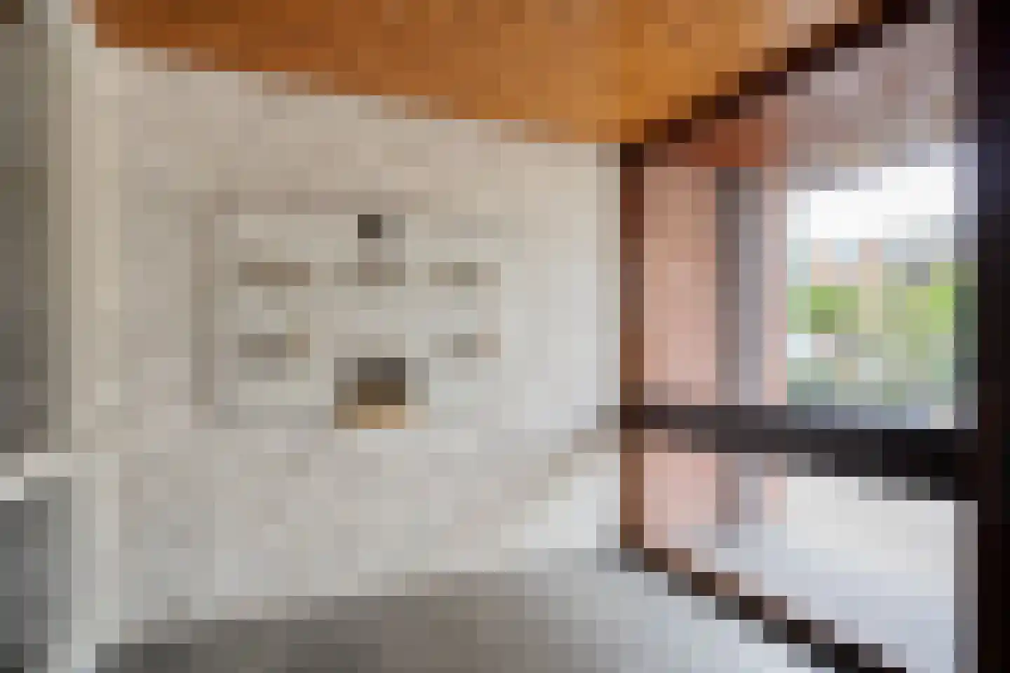 Carry van Bruggenstraat 40 Zwolle thumbnail 12