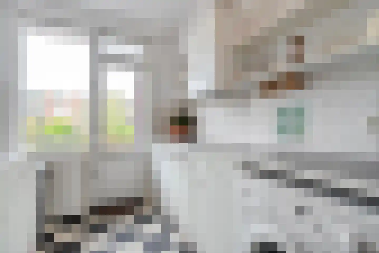 Carry van Bruggenstraat 40 Zwolle thumbnail 23