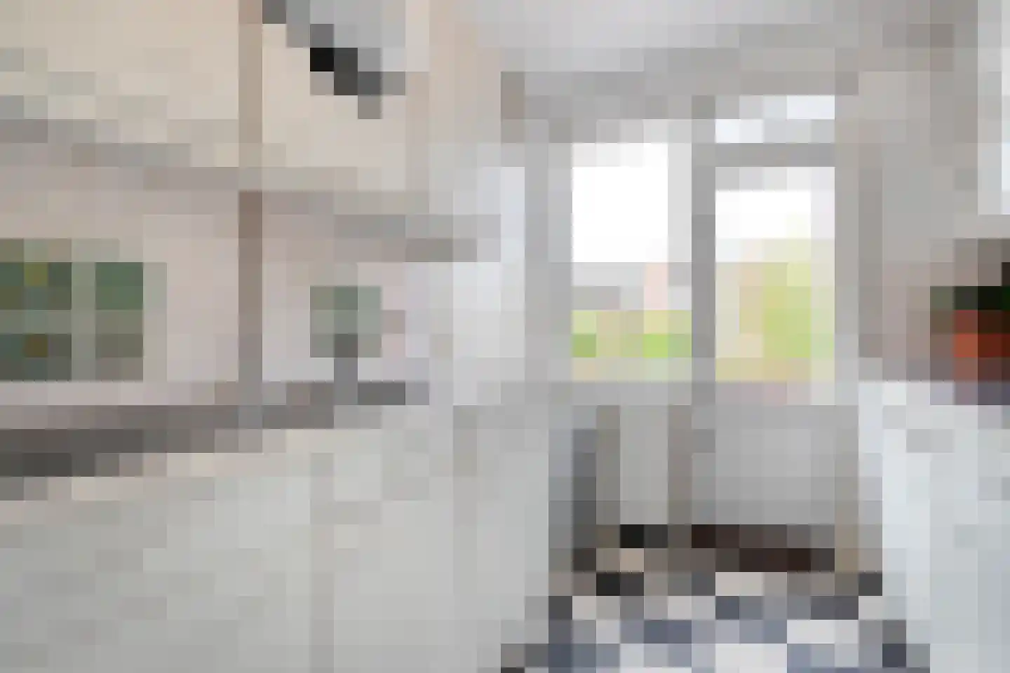 Carry van Bruggenstraat 40 Zwolle thumbnail 26