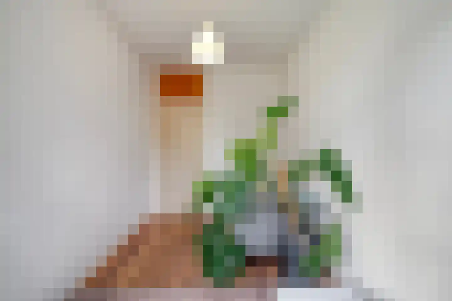 Carry van Bruggenstraat 40 Zwolle thumbnail 33