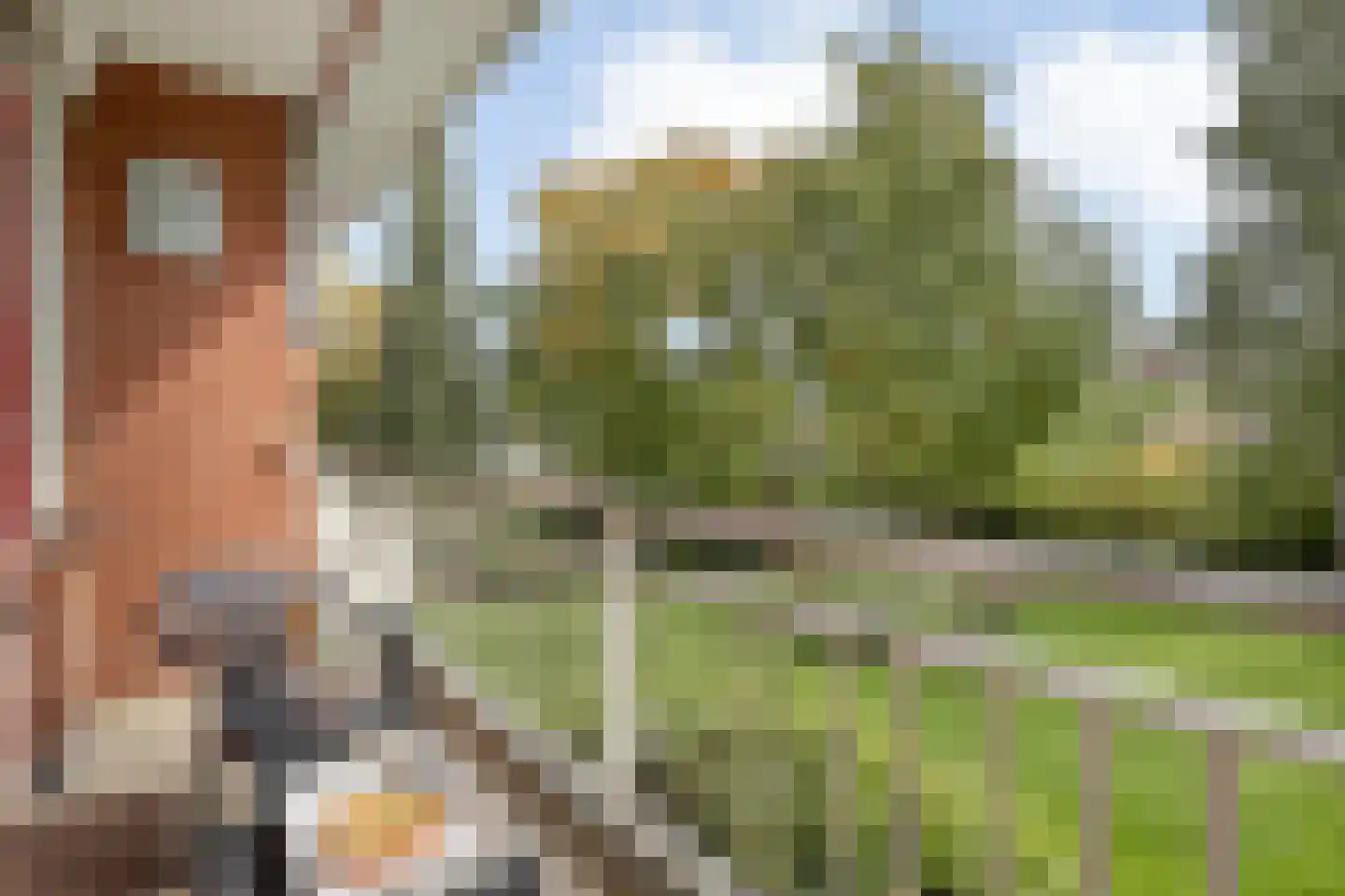 Carry van Bruggenstraat 40 Zwolle thumbnail 5