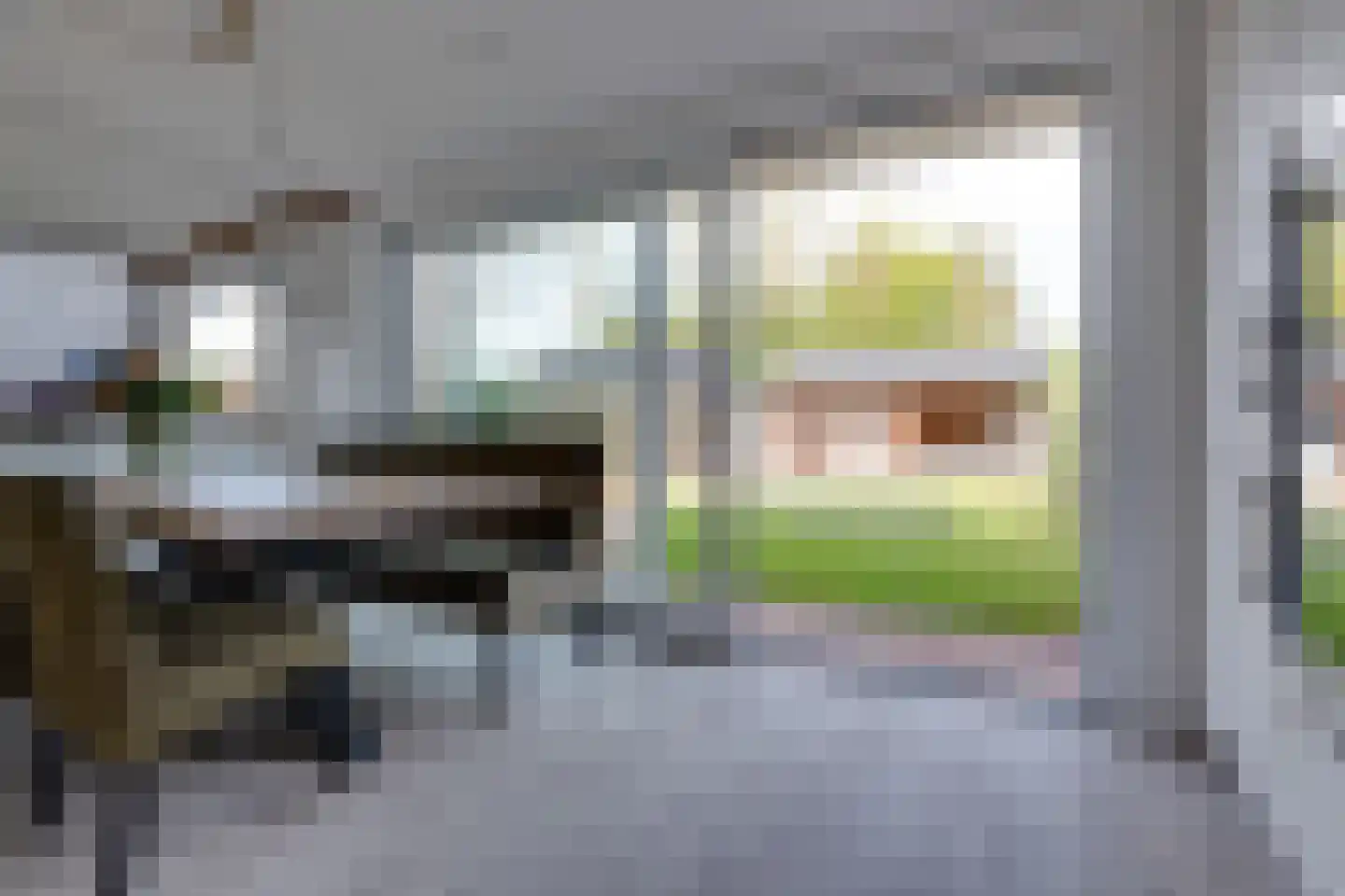 Carry van Bruggenstraat 47 Smilde thumbnail 13