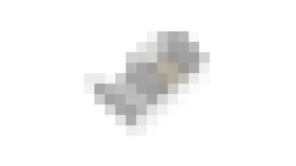 Carry van Bruggenstraat 47 Smilde thumbnail 36