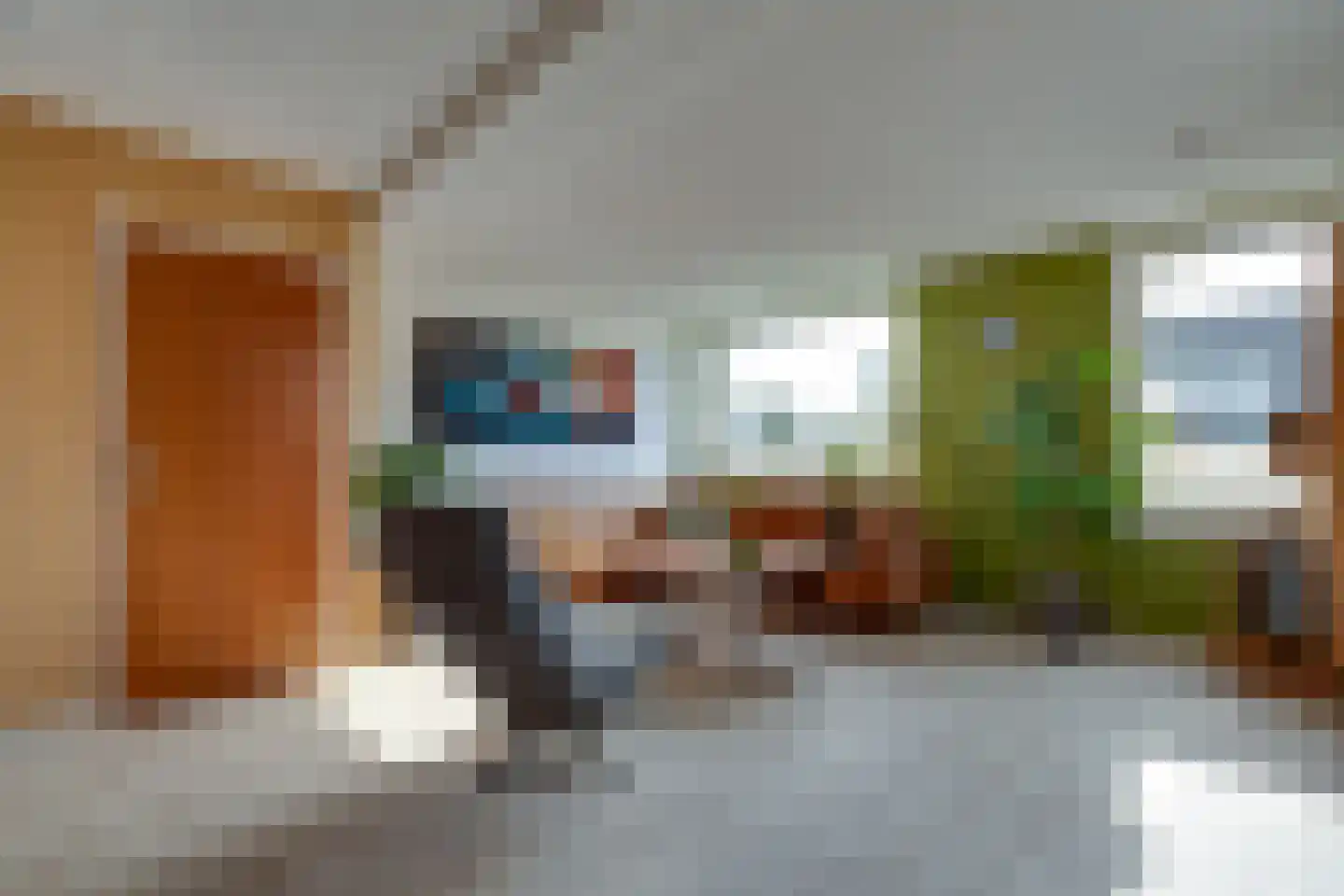Carry van Bruggenstraat 47 Smilde thumbnail 6