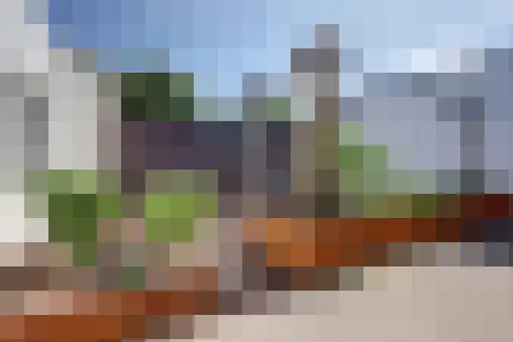 Carry van Bruggenstraat 5 Venray thumbnail 4