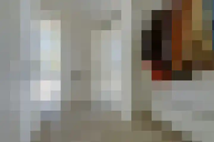 Carry van Bruggenstraat 5 Venray thumbnail 6