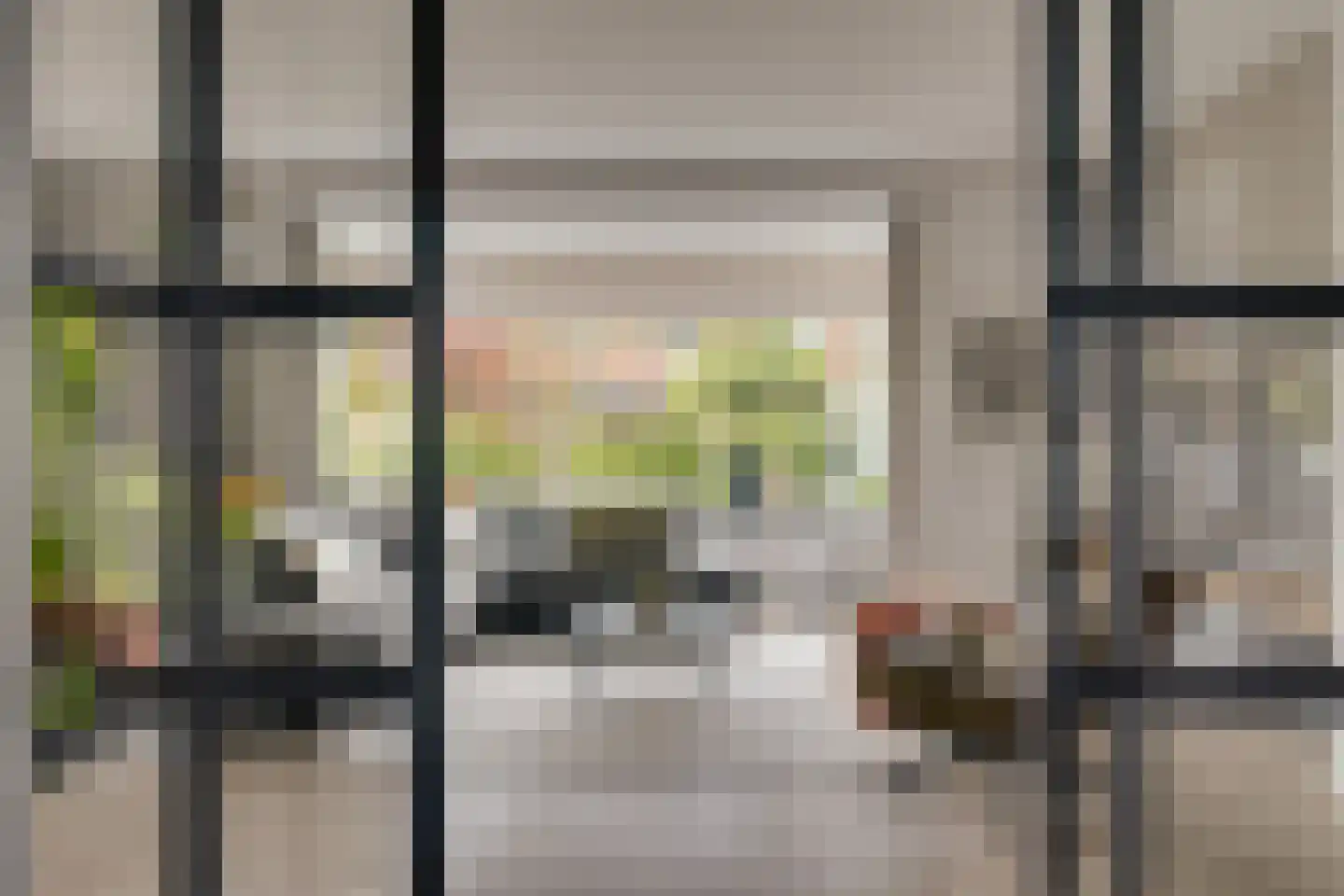 Carry van Bruggenstraat 6 Zwolle thumbnail 10