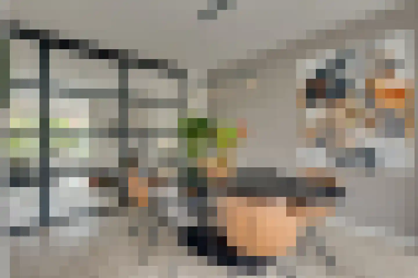 Carry van Bruggenstraat 6 Zwolle thumbnail 12