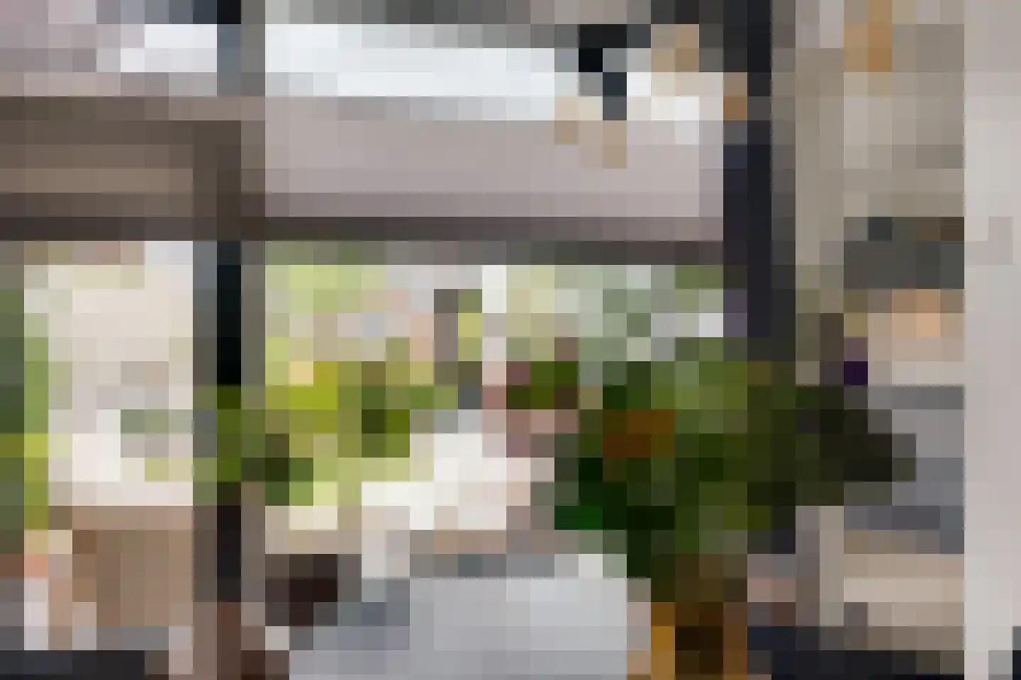Carry van Bruggenstraat 6 Zwolle thumbnail 14