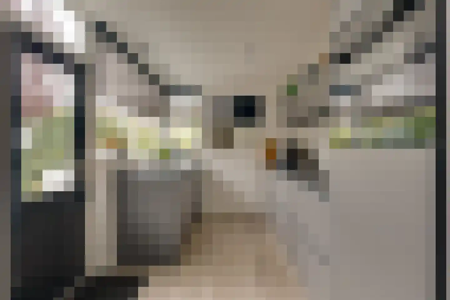 Carry van Bruggenstraat 6 Zwolle thumbnail 15