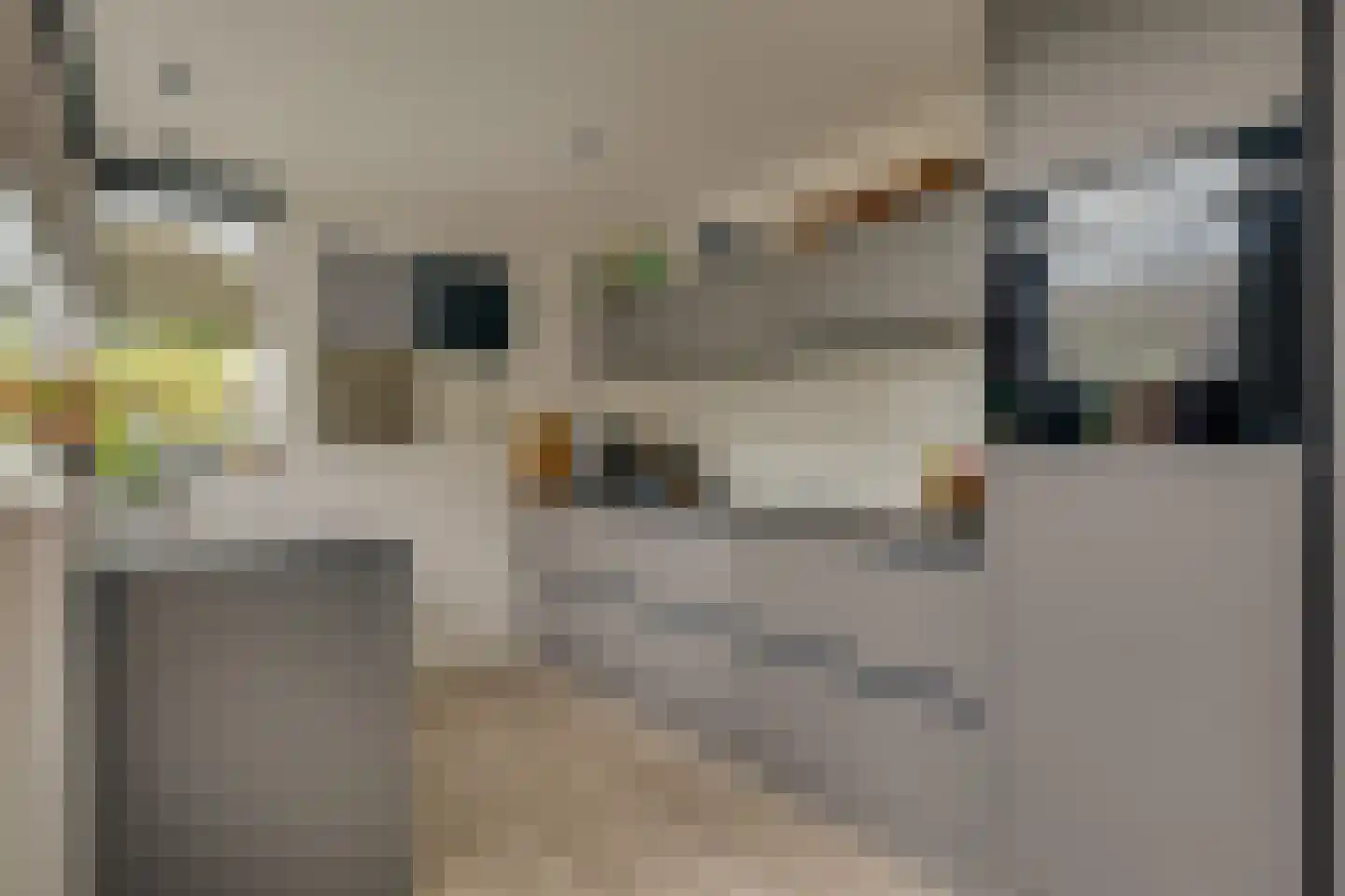 Carry van Bruggenstraat 6 Zwolle thumbnail 16