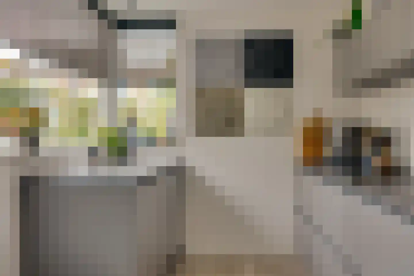 Carry van Bruggenstraat 6 Zwolle thumbnail 17