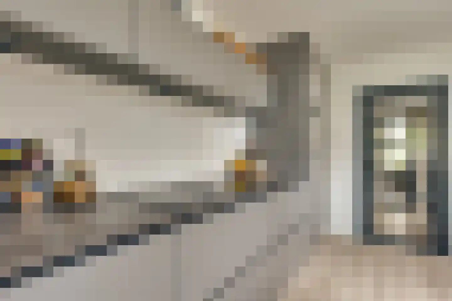 Carry van Bruggenstraat 6 Zwolle thumbnail 18